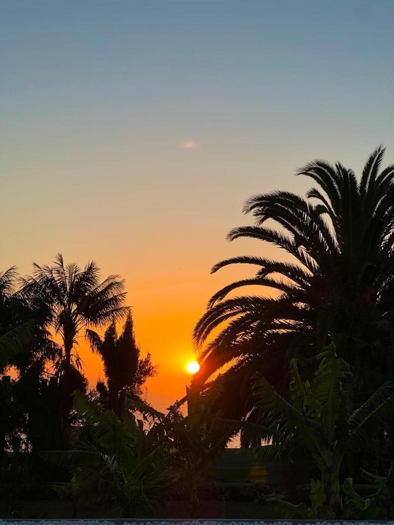 Tajuya Suite Los Llanos De Aridane Εξωτερικό φωτογραφία